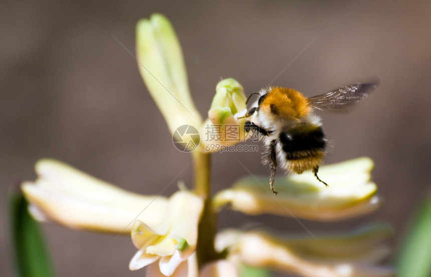 高清完整版比赛录像回顾明星球员高光表现与战术细节深度解析