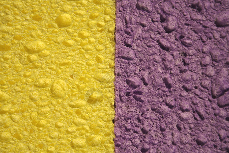 黄色和紫色海绵的特写图片