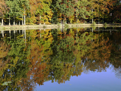 秋天有水反射的池塘德国下萨克森州图片