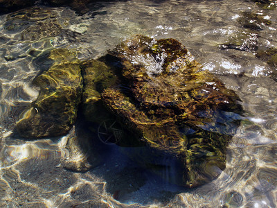 海浪在浅透明图片