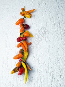 挂在墙上的不同种类的干辣椒图片