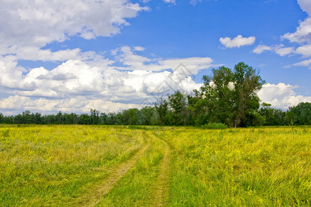横跨草原的农村公路图片