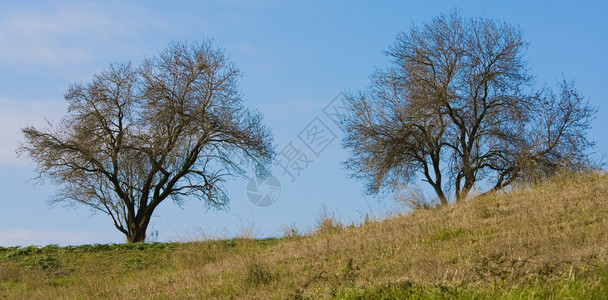 自然背景户外景色秋天风景图片