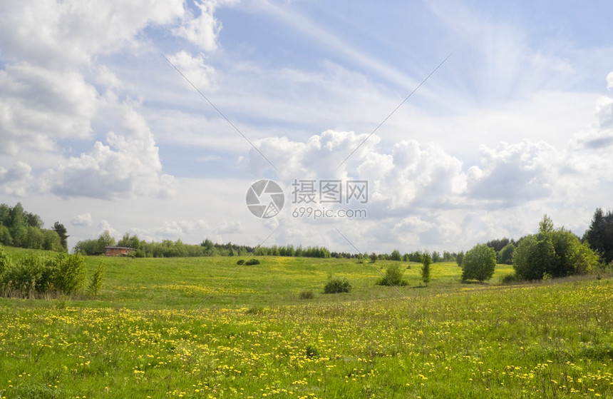 百花齐放五月风景图片