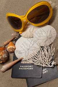 贴近护照太阳眼镜沙美元精油珊瑚和贝壳图片