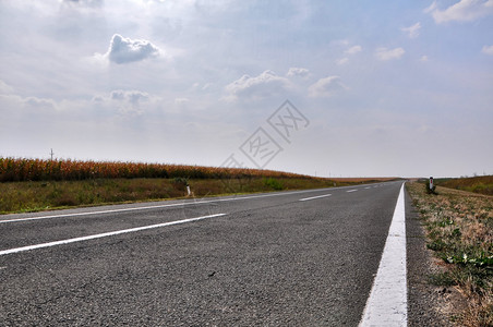 道路指示标穿过田野的道路背景