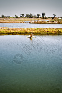 水轮在水上的鱼塘景观图片