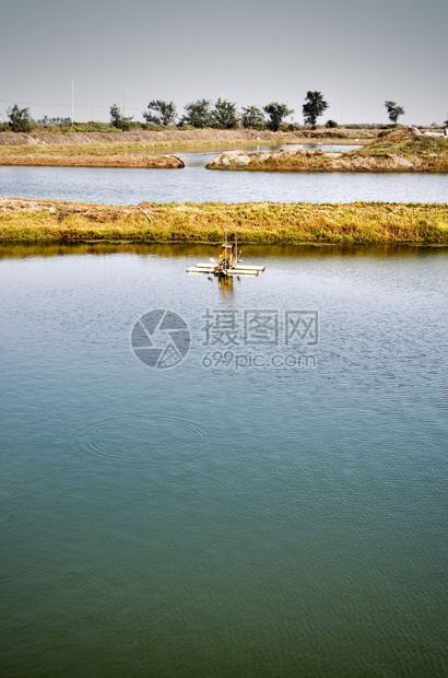 水轮在水上的鱼塘景观图片