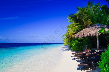 马尔代夫的热带天堂图片