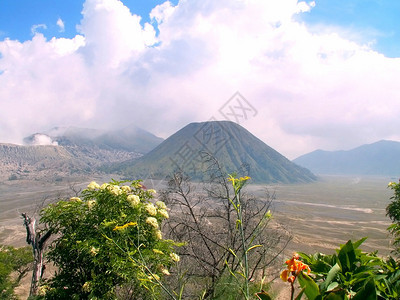 印度尼西亚爪哇TenggerCaldera的火山图片