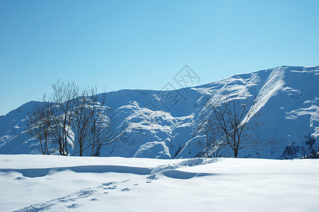 冬天雪下的高山图片