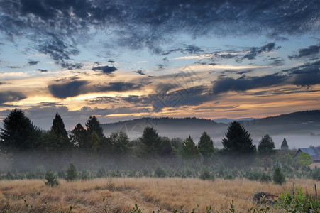 美丽的早晨风景与雾和日出人类发展报图片