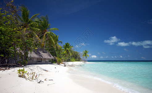 热带白色沙滩的景色令人赞叹图片