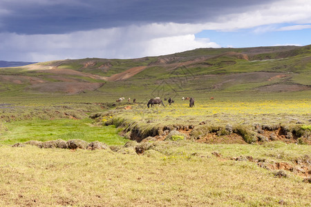 Kleifarvatn绿农场地区图片