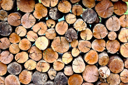 干木材对防火有帮助或烧图片