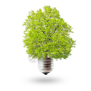 绿色能源概念从灯图片