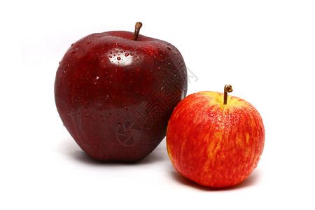 一个大苹果和小福吉苹果图片
