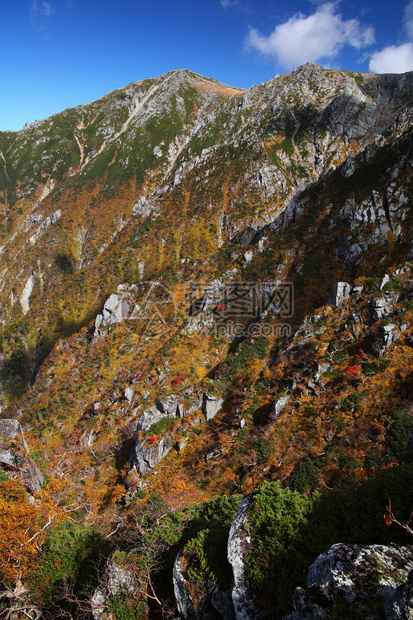 日本的秋叶山图片