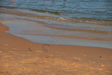 度假时红海漂亮温暖的沙滩图片