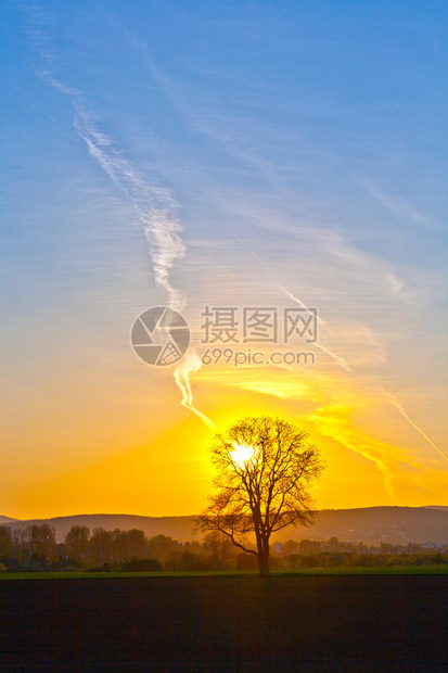 夕阳与蓝天和树木图片