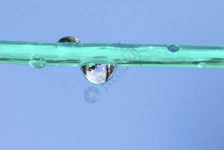 绿色晾衣绳上的水滴图片