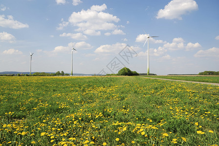 风能替代能源图片