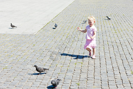追鸽子的小女孩图片