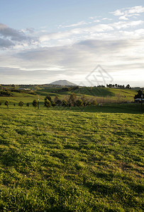 连绵起伏的农田和天空新西兰图片