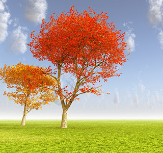 秋季风景图片