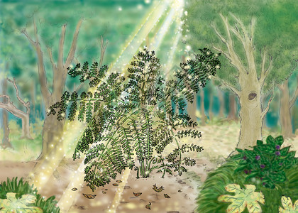 雨林中幼树叶上喷洒的背景图片
