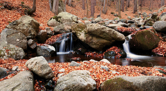 保加利亚森林河流秋时间图片
