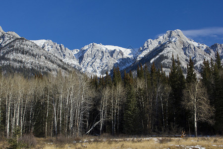 班夫公园BowValley公园道沿图片