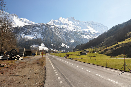 瑞士榆树地区图片