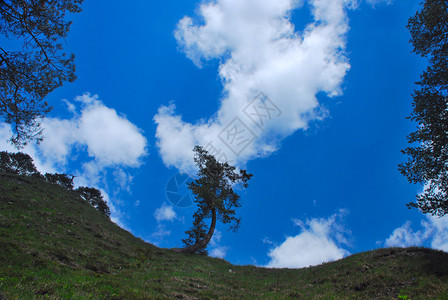 蓝天白云的青山草甸图片