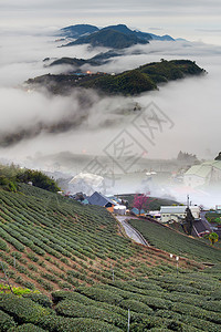 早晨有山云和雾的阳光图片
