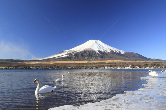 Yamanaka湖日本亚马纳希的Mtf图片