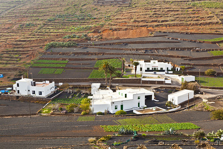 Lanzarote农村山图片
