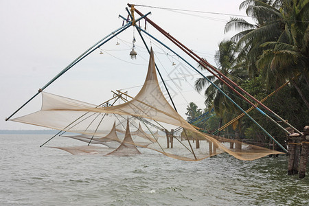 印度喀拉邦喀拉后水的可树反图片