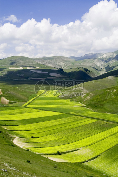 在山谷的斜坡上的绿色草甸图片
