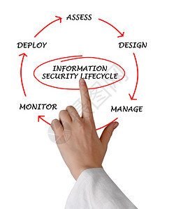 信息安全生命周期图图片