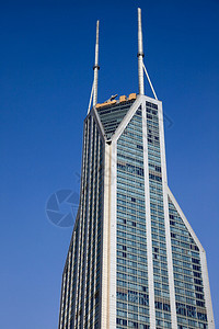 金毛塔和上海世界金融中心图片