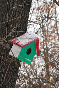冬天的鸟舍红绿白背景图片