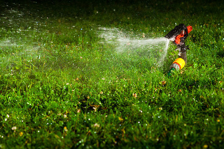 草坪洒水器在夜间将水洒在绿草上图片