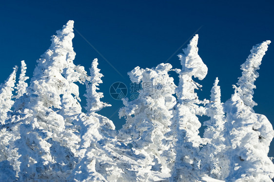 蓝色天空中满是积雪的白色f图片
