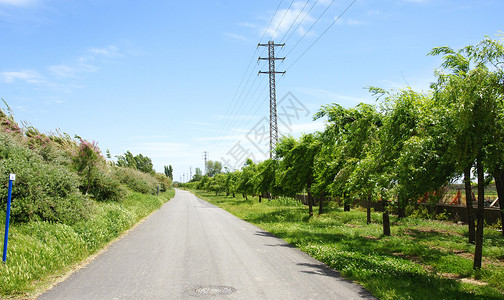 俯视道路Llobregat河三角洲路背景