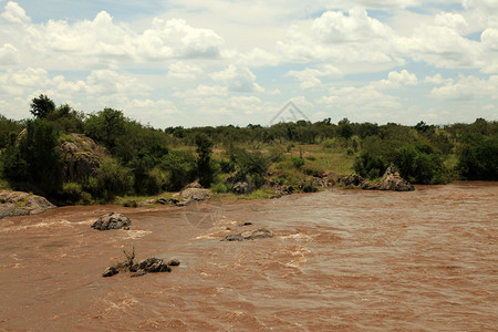 马拉河非洲肯尼亚的马赛图片