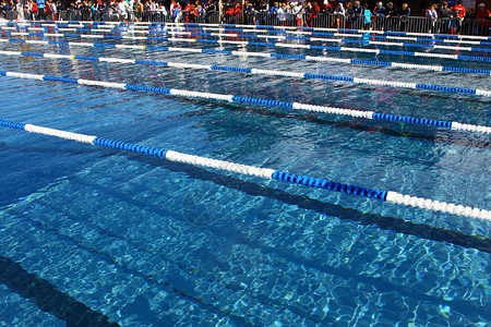 SchweizerischeNachwuchsmeisterschaftSchwimmen图片