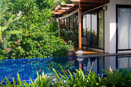 温泉度假村的游泳池泰国图片