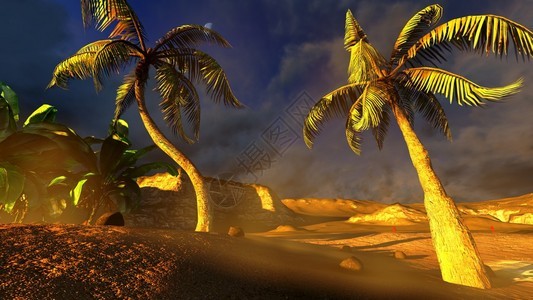 热带海滩天堂图片