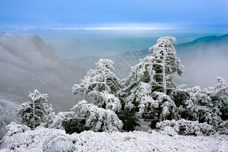 在山的美好的冬天场面图片